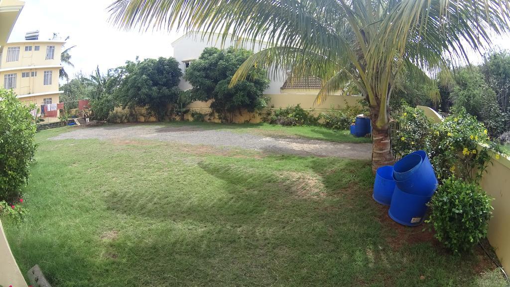 Allamanda - 100m Bain Boeuf